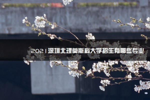 2021深圳北理莫斯科大学招生有哪些专业 什么专业就业好