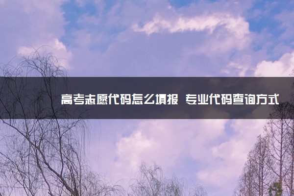 高考志愿代码怎么填报  专业代码查询方式有哪些