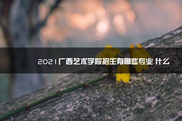 2021广西艺术学院招生有哪些专业 什么专业就业好