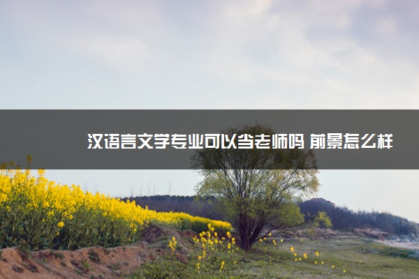 汉语言文学专业可以当老师吗 前景怎么样