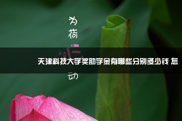 天津科技大学奖助学金有哪些分别多少钱 怎么申请评定