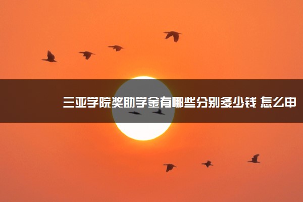 三亚学院奖助学金有哪些分别多少钱 怎么申请评定