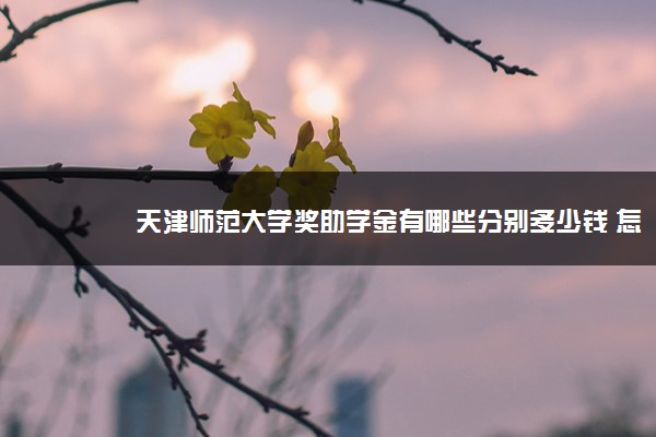 天津师范大学奖助学金有哪些分别多少钱 怎么申请评定