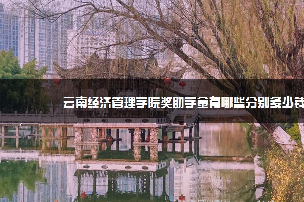 云南经济管理学院奖助学金有哪些分别多少钱 怎么申请评定