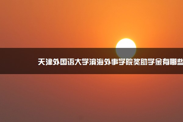 天津外国语大学滨海外事学院奖助学金有哪些分别多少钱 怎么申请评定