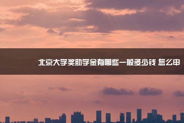 北京大学奖助学金有哪些一般多少钱 怎么申请评定