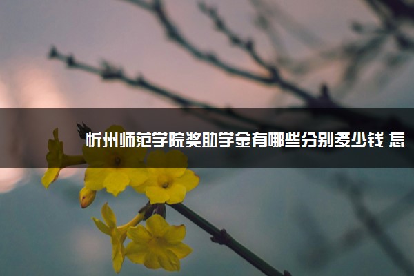 忻州师范学院奖助学金有哪些分别多少钱 怎么申请评定