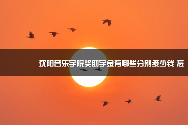 沈阳音乐学院奖助学金有哪些分别多少钱 怎么申请评定