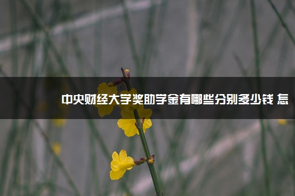 中央财经大学奖助学金有哪些分别多少钱 怎么申请评定