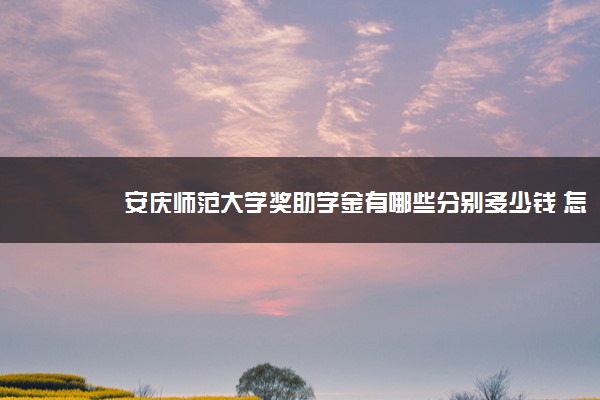 安庆师范大学奖助学金有哪些分别多少钱 怎么申请评定