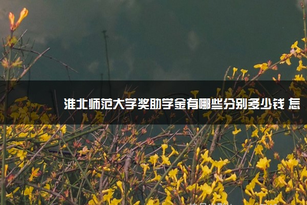 淮北师范大学奖助学金有哪些分别多少钱 怎么申请评定