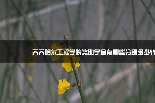 齐齐哈尔工程学院奖助学金有哪些分别多少钱 怎么申请评定