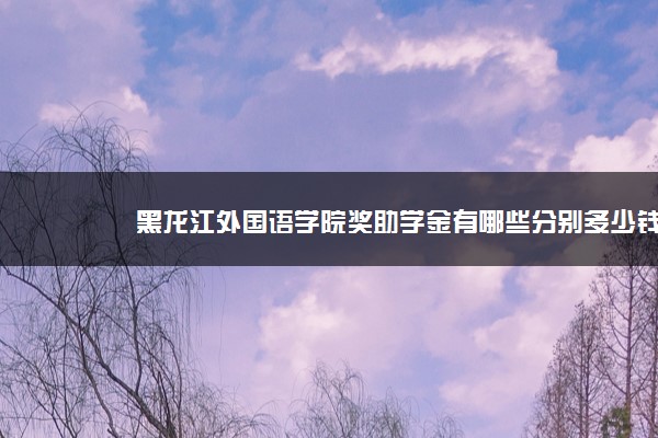 黑龙江外国语学院奖助学金有哪些分别多少钱 怎么申请评定