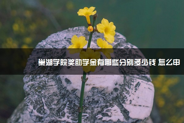 巢湖学院奖助学金有哪些分别多少钱 怎么申请评定