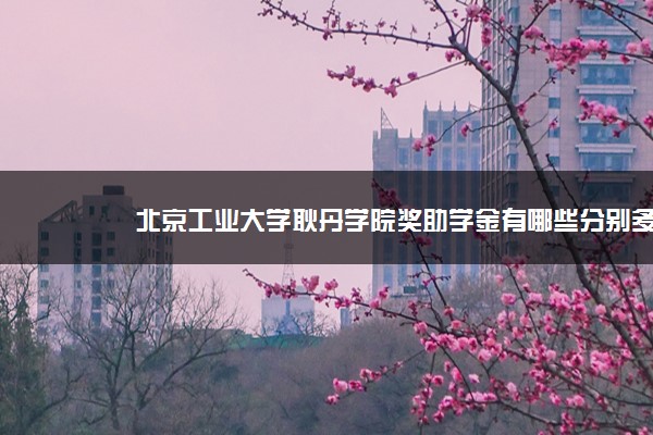 北京工业大学耿丹学院奖助学金有哪些分别多少钱 怎么申请评定