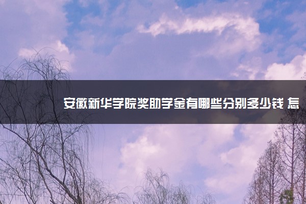 安徽新华学院奖助学金有哪些分别多少钱 怎么申请评定