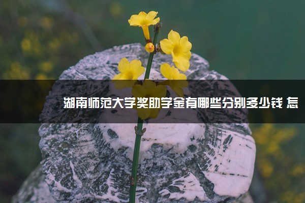 湖南师范大学奖助学金有哪些分别多少钱 怎么申请评定