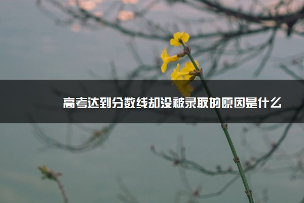 高考达到分数线却没被录取的原因是什么