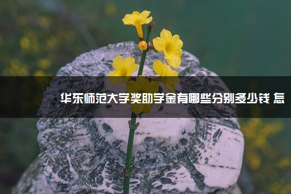 华东师范大学奖助学金有哪些分别多少钱 怎么申请评定