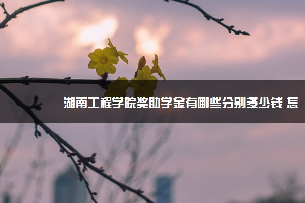 湖南工程学院奖助学金有哪些分别多少钱 怎么申请评定