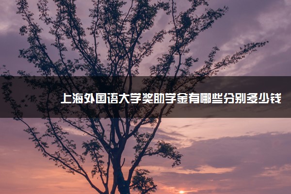 上海外国语大学奖助学金有哪些分别多少钱 怎么申请评定