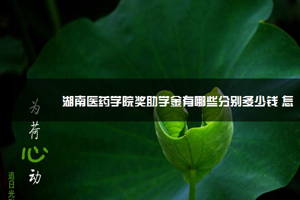 湖南医药学院奖助学金有哪些分别多少钱 怎么申请评定