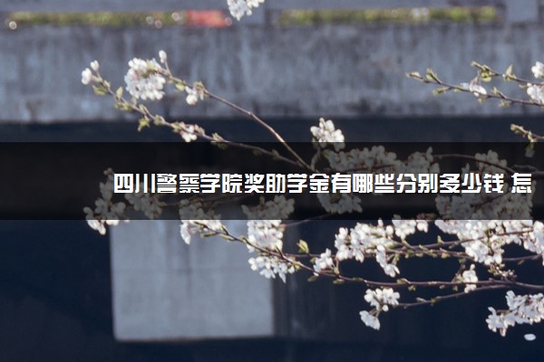 四川警察学院奖助学金有哪些分别多少钱 怎么申请评定