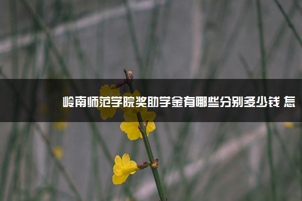 岭南师范学院奖助学金有哪些分别多少钱 怎么申请评定