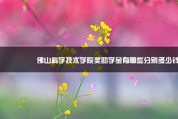 佛山科学技术学院奖助学金有哪些分别多少钱 怎么申请评定