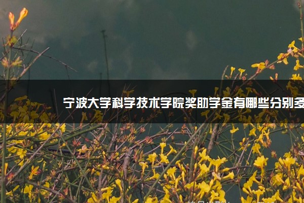 宁波大学科学技术学院奖助学金有哪些分别多少钱 怎么申请评定