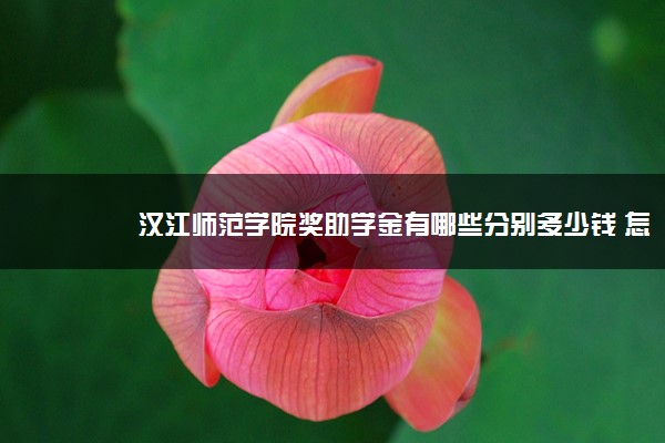 汉江师范学院奖助学金有哪些分别多少钱 怎么申请评定