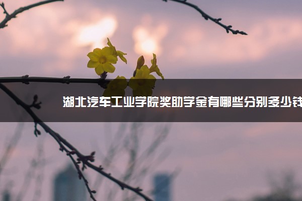 湖北汽车工业学院奖助学金有哪些分别多少钱 怎么申请评定