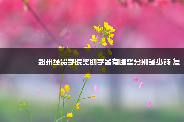 郑州经贸学院奖助学金有哪些分别多少钱 怎么申请评定