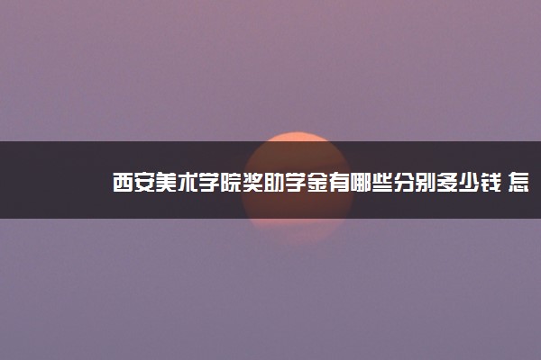 西安美术学院奖助学金有哪些分别多少钱 怎么申请评定