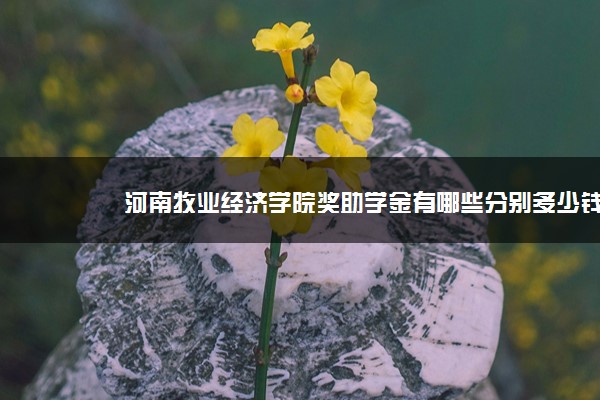 河南牧业经济学院奖助学金有哪些分别多少钱 怎么申请评定