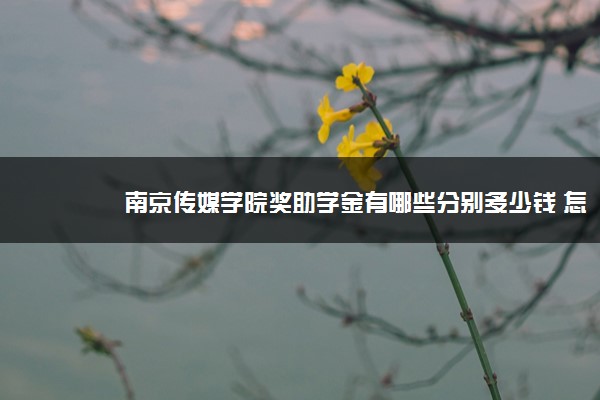 南京传媒学院奖助学金有哪些分别多少钱 怎么申请评定