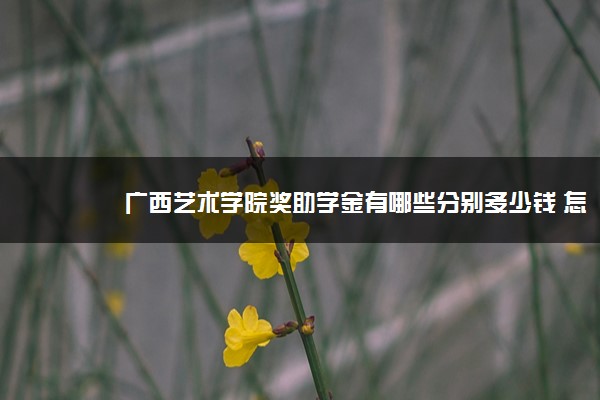 广西艺术学院奖助学金有哪些分别多少钱 怎么申请评定