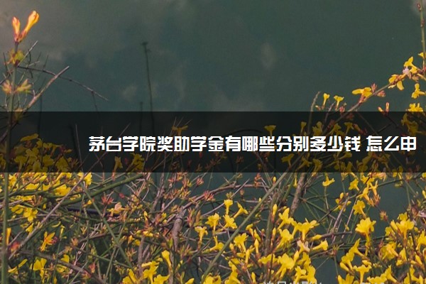 茅台学院奖助学金有哪些分别多少钱 怎么申请评定