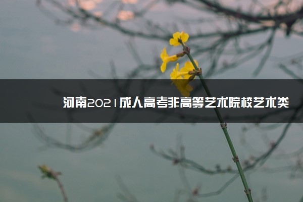 河南2021成人高考非高等艺术院校艺术类专业统一加试考生须知