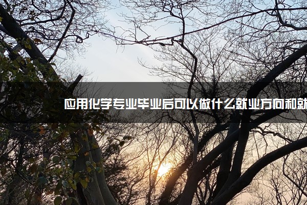 应用化学专业毕业后可以做什么就业方向和就业前景