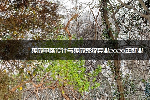 集成电路设计与集成系统专业2020年就业方向与发展前景