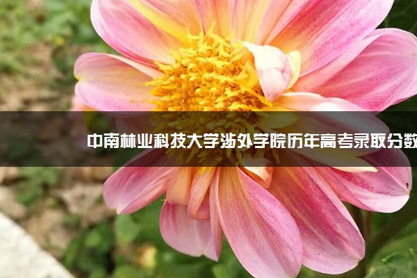 中南林业科技大学涉外学院历年高考录取分数线(2017-2019)