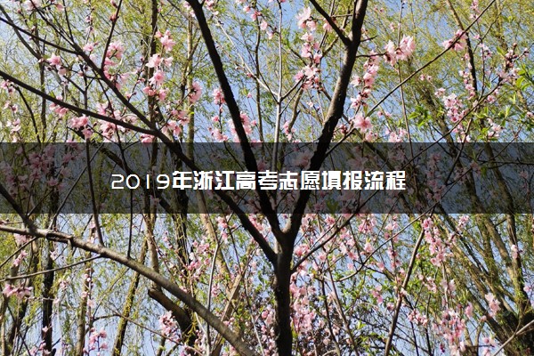 2019年浙江高考志愿填报流程