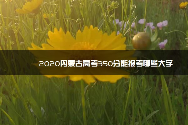 2020内蒙古高考350分能报考哪些大学 附大学名单