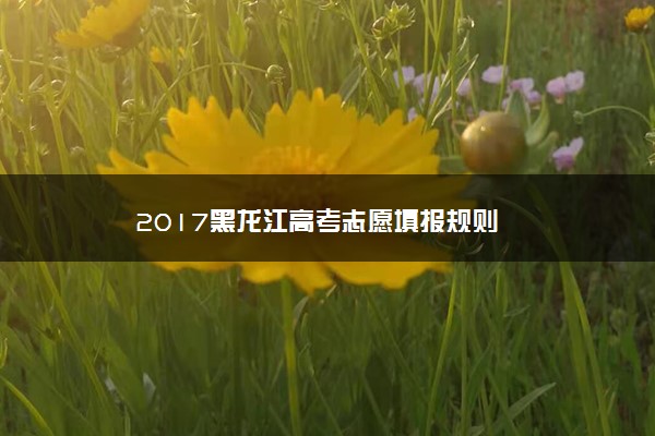 2017黑龙江高考志愿填报规则