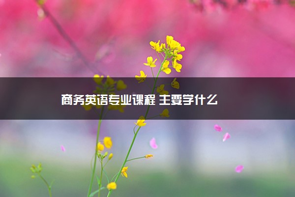 商务英语专业课程 主要学什么