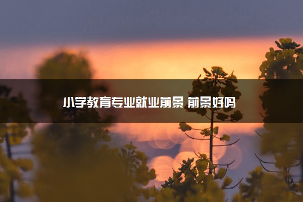 小学教育专业就业前景 前景好吗