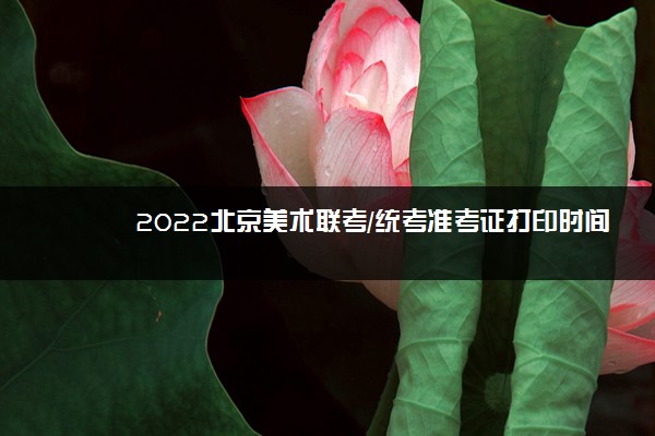 2022北京美术联考/统考准考证打印时间公布