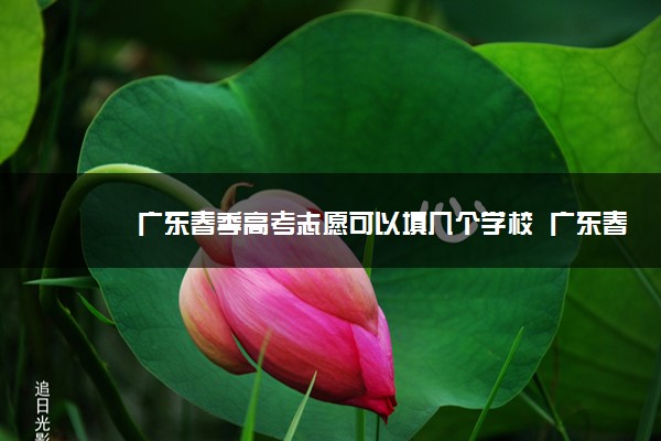 广东春季高考志愿可以填几个学校  广东春季高考招生录取