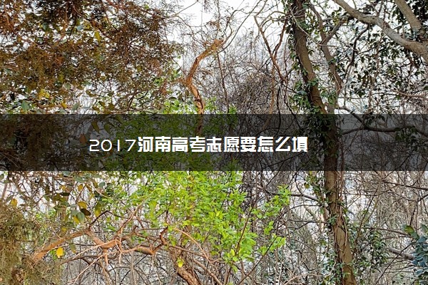 2017河南高考志愿要怎么填